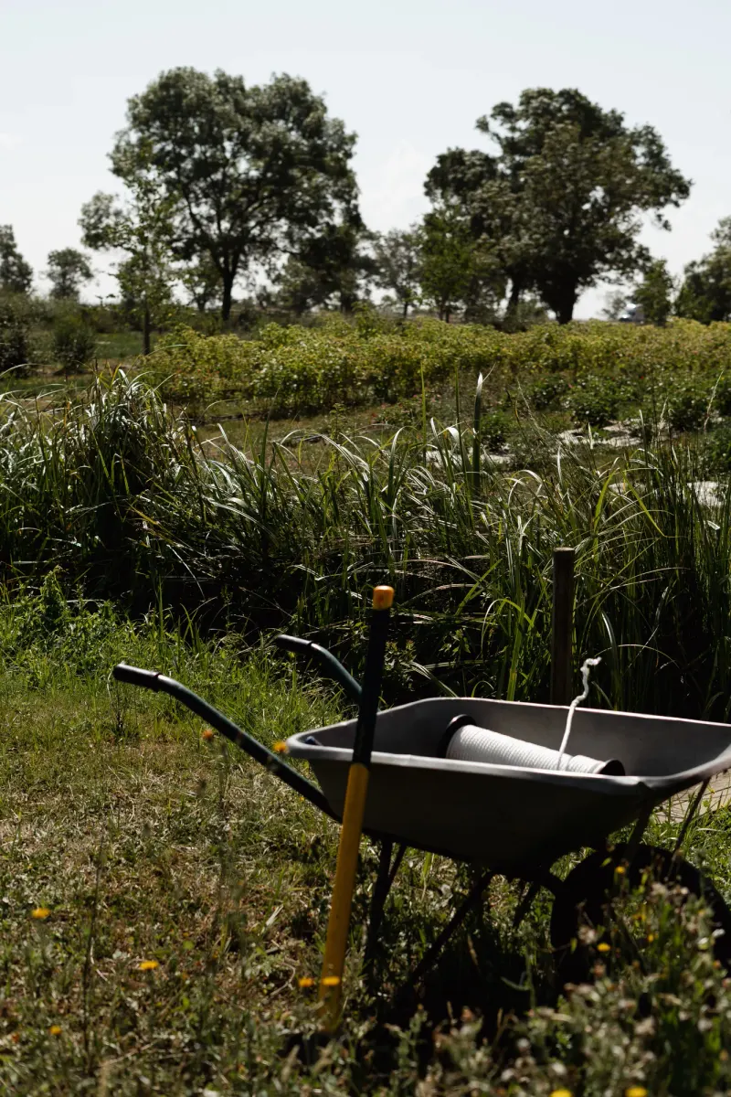 Dix Hectares — 3