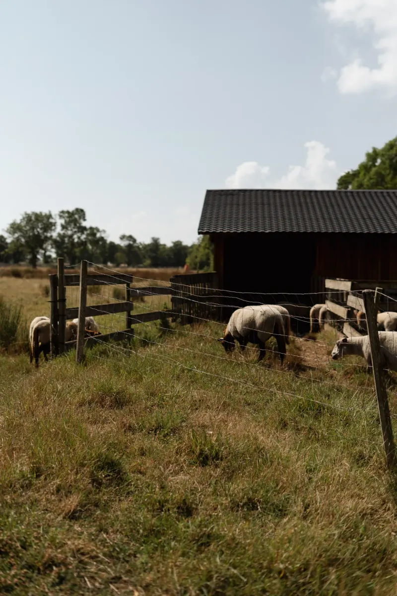 Dix Hectares — 6