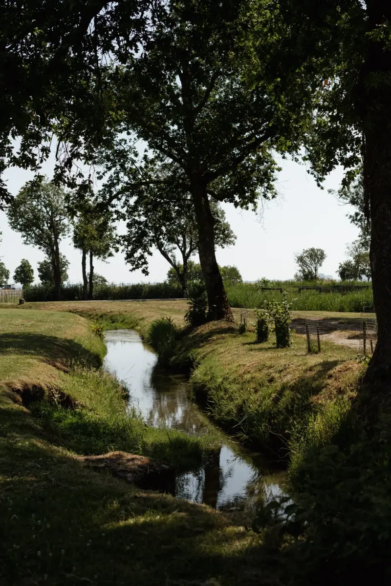 Dix Hectares — 2