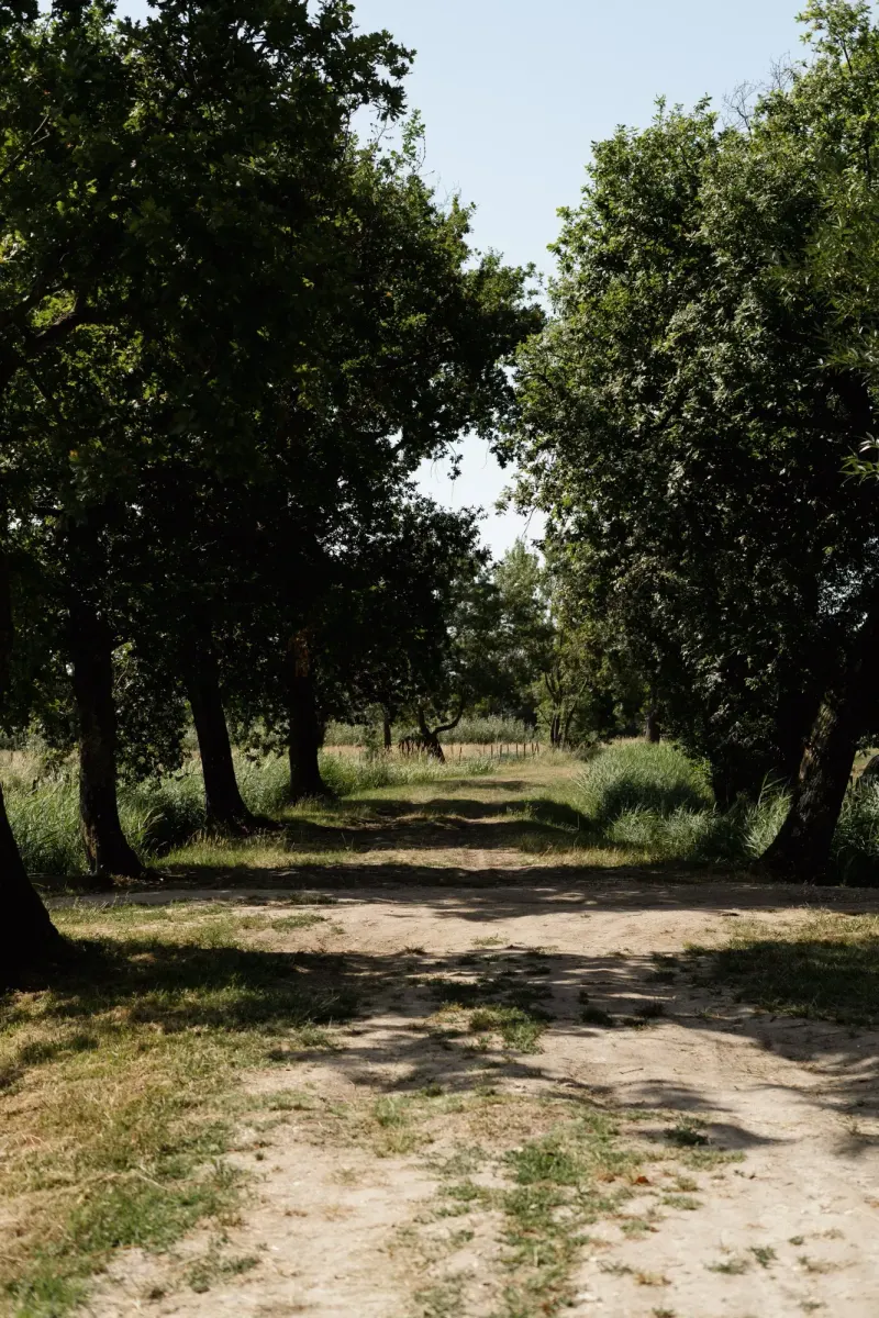 Dix Hectares — 4
