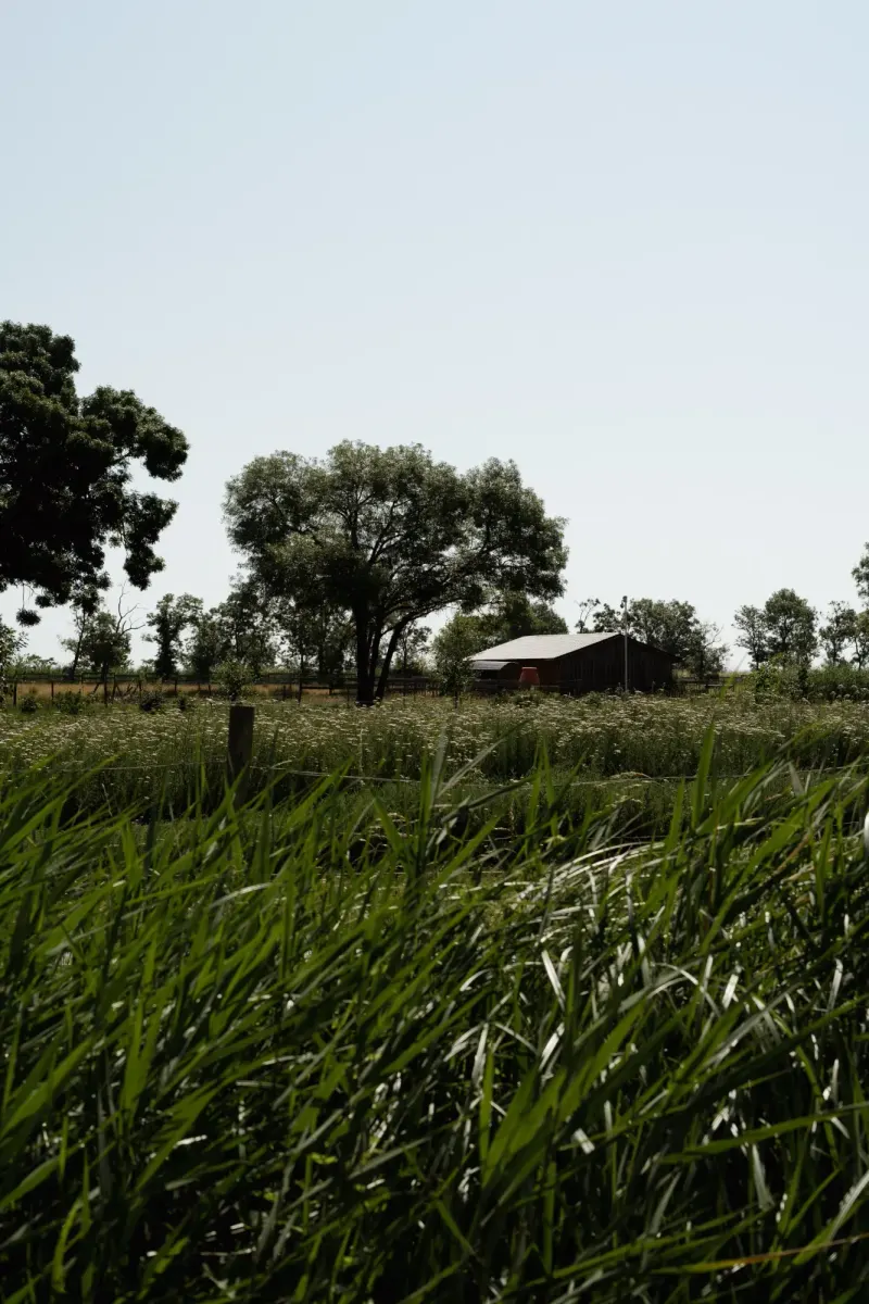 Dix Hectares — 6