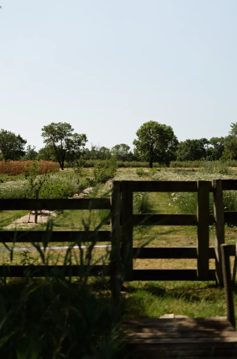 Dix Hectares — 11