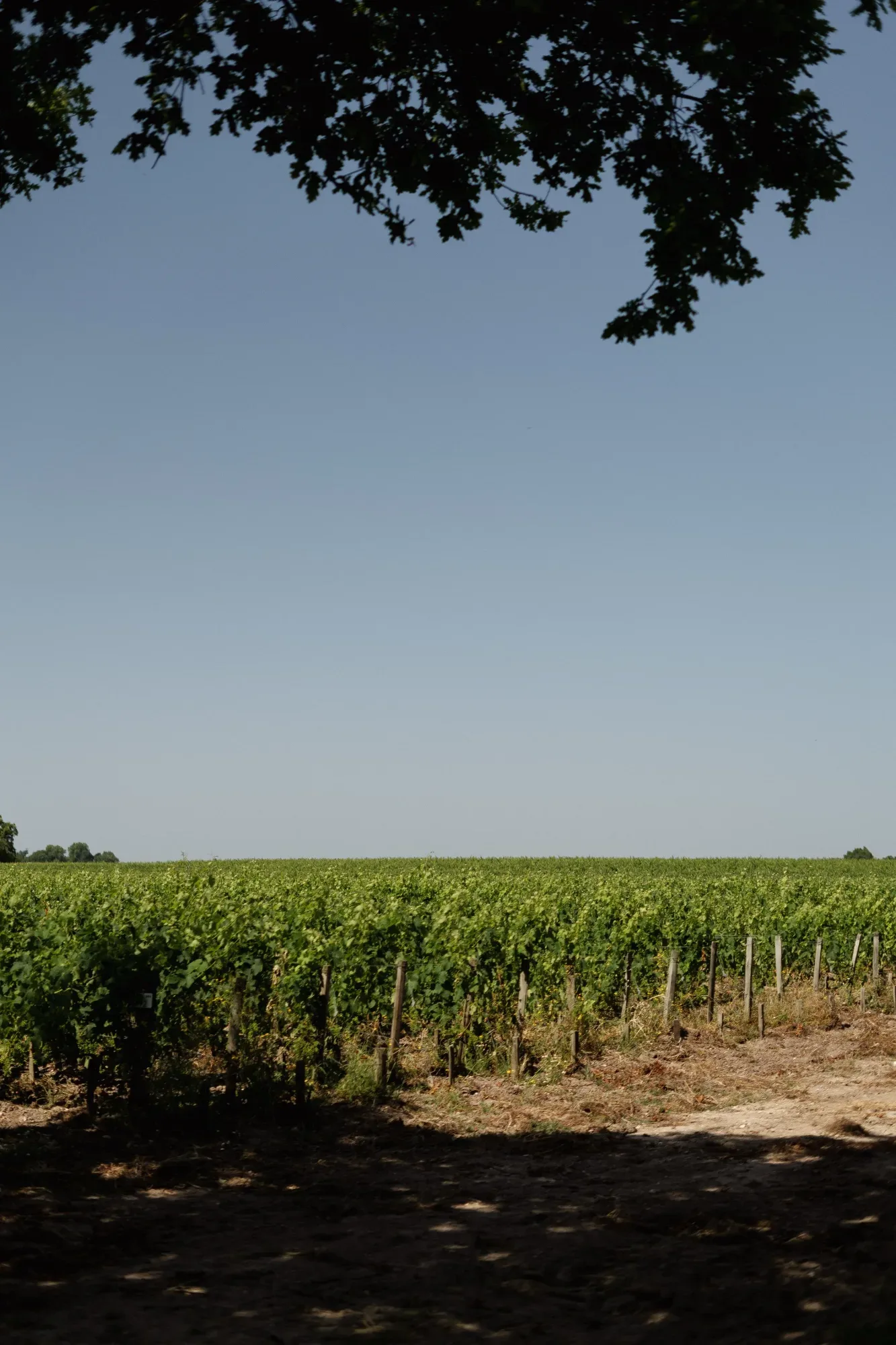 Dix Hectares — 15