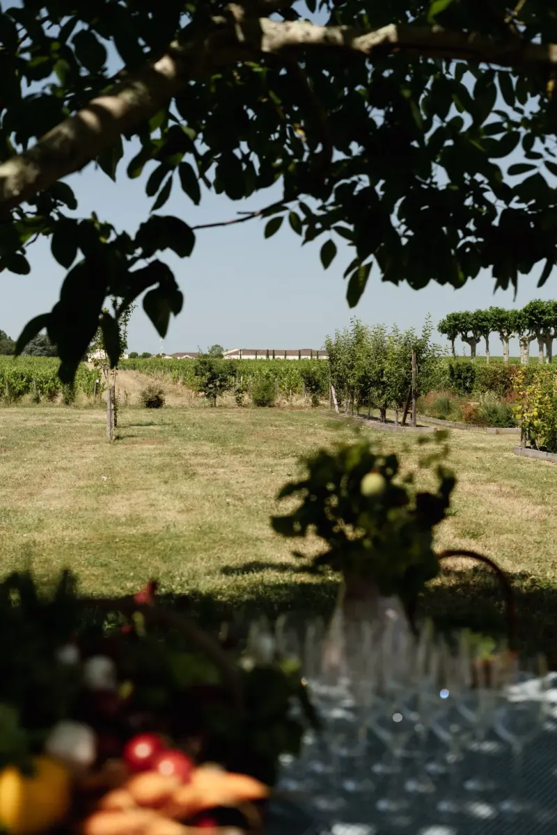 Dix Hectares — 22