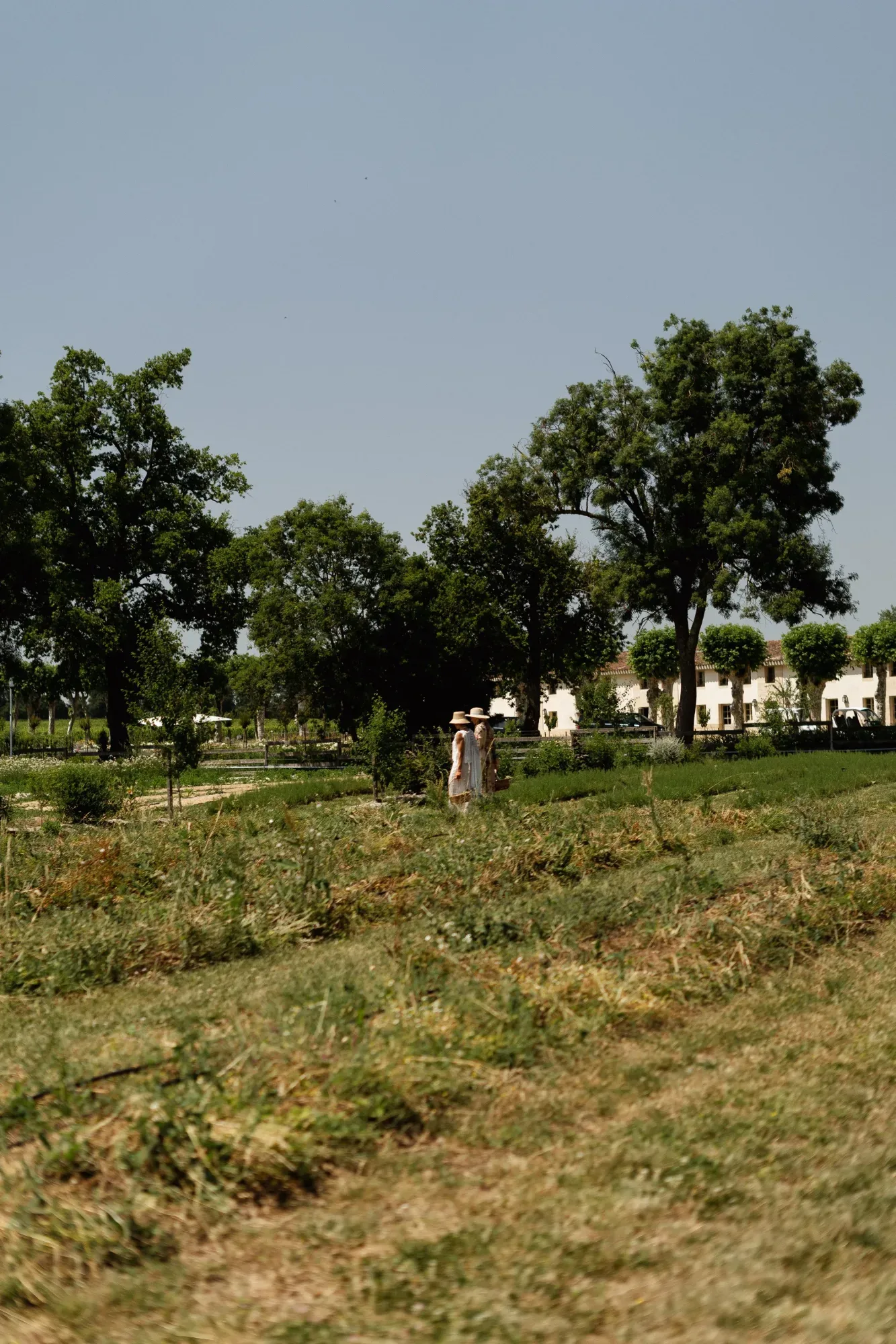 Dix Hectares — 15
