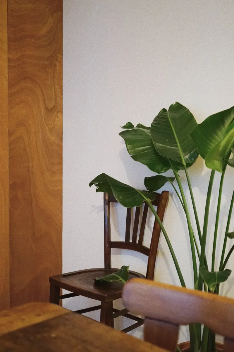 On Partage Coffee shop — 13