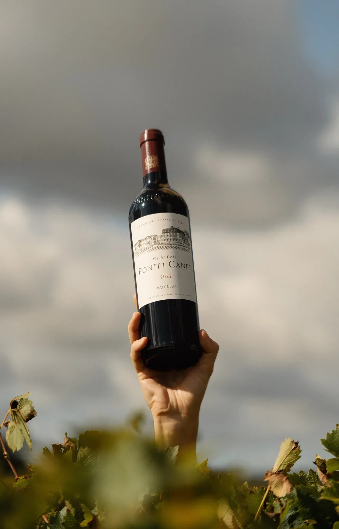 Château Pontet-Canet, vendanges 2024 — 1
