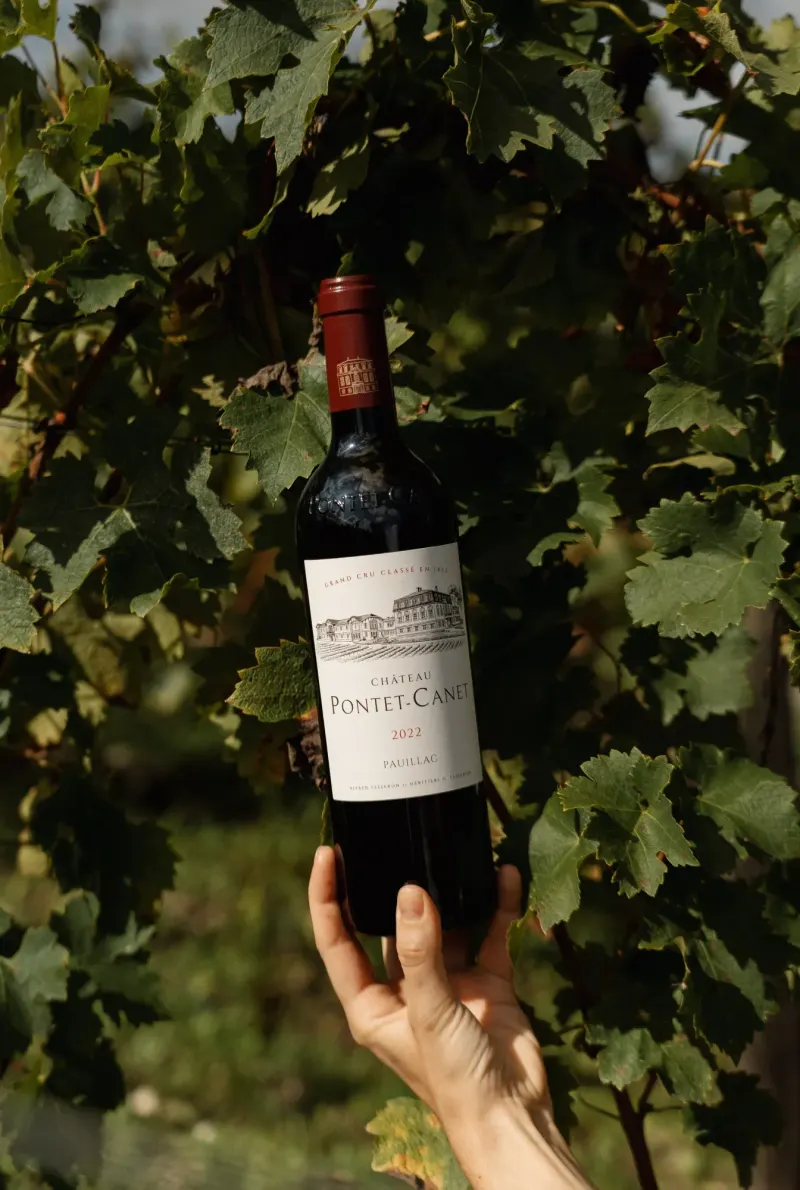 Château Pontet-Canet, vendanges 2024 — 3