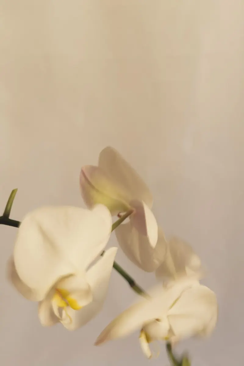 Clara, fondatrice de Layers of Clarity — 123