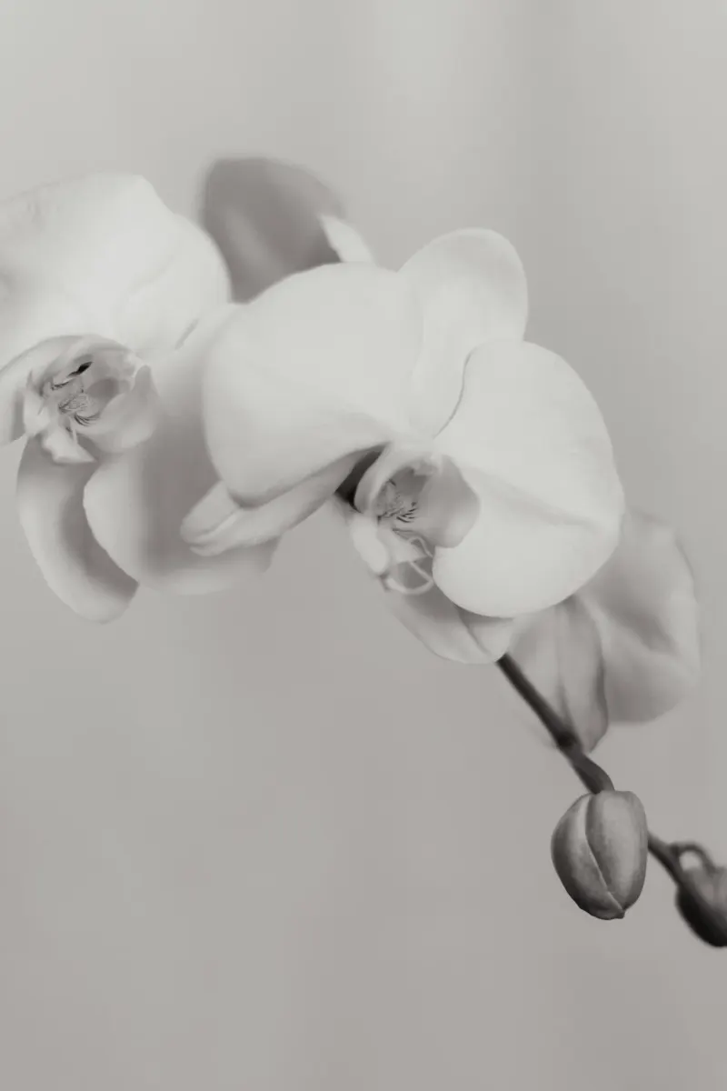 Clara, fondatrice de Layers of Clarity — 125